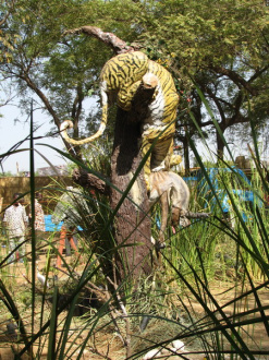 04 Le Tigre Et L Antilope